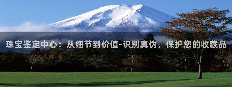 新宝5招商222111：珠宝鉴定中心：从细节到价值-识别真伪，保护您的收藏品