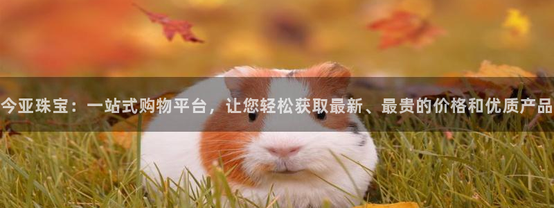 新宝5注册：今亚珠宝：一站式购物平台，让您轻松获取最新、最贵的价格和优质产品