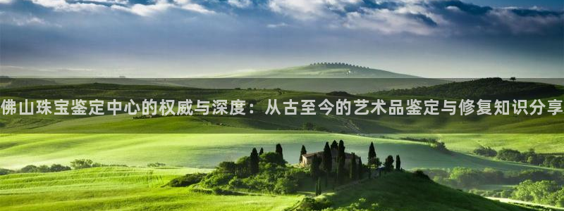 新宝5手机app：佛山珠宝鉴定中心的权威与深度：从古至今的艺术品鉴定与修复知识分