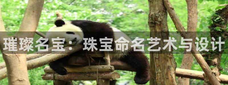 新宝5 - 测速登陆：璀璨名宝：珠宝命名艺术与设计