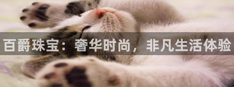 新宝5注册链接：百爵珠宝：奢华时尚，非凡生活体验