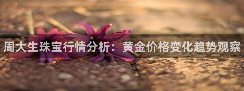 新宝5注册测速登录：周大生珠宝行情分析：黄金价格变化趋势观察