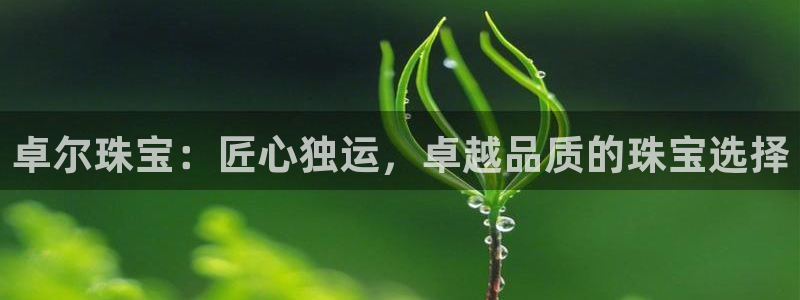 新宝5客户端登录：卓尔珠宝：匠心独运，卓越品质的珠宝选择