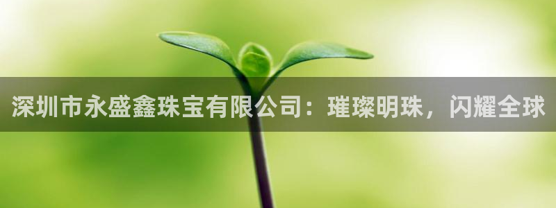 新宝5娱乐注册：深圳市永盛鑫珠宝有限公司：璀璨明珠，闪耀全球