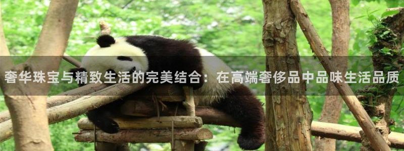 新宝5平台登录注册：奢华珠宝与精致生活的完美结合：在高端奢侈品中品味生活品质