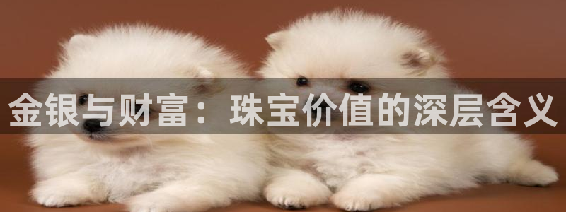 新宝5登陆：金银与财富：珠宝价值的深层含义