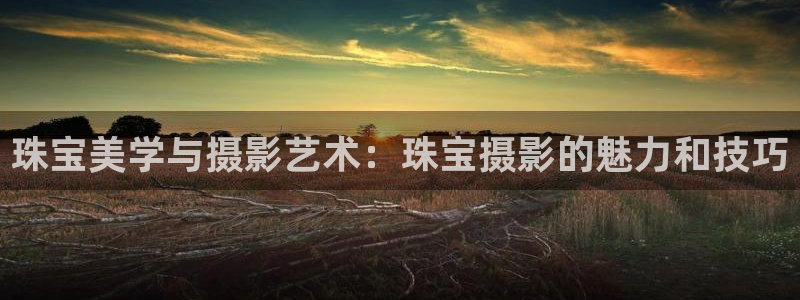 新宝5测速在线：珠宝美学与摄影艺术：珠宝摄影的魅力和技巧