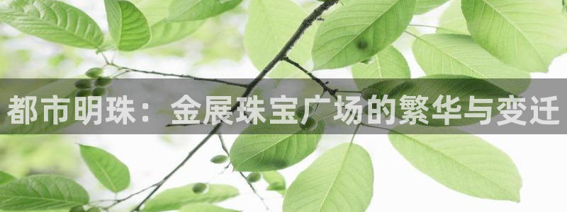 新宝3得74OO5：都市明珠：金展珠宝广场的繁华与变迁