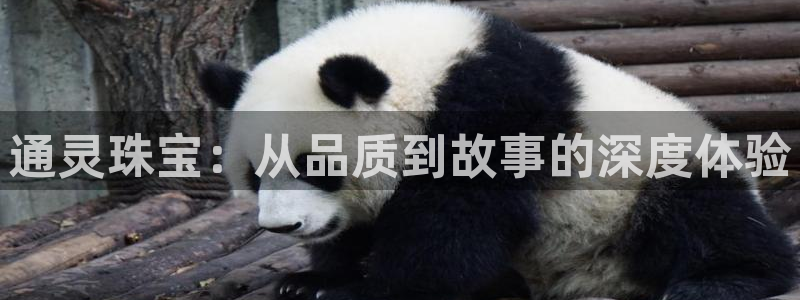 股票5G宝新：通灵珠宝：从品质到故事的深度体验