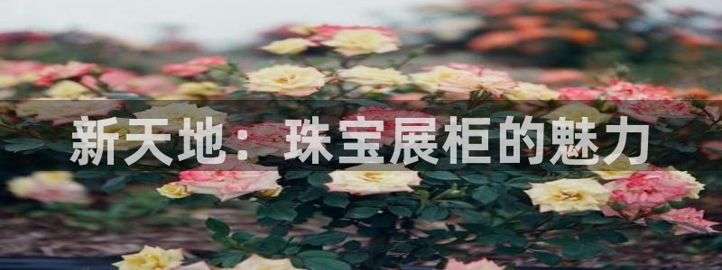 新宝5娱乐没：新天地：珠宝展柜的魅力