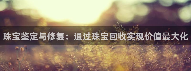 新宝5源码：珠宝鉴定与修复：通过珠宝回收实现价值最大化