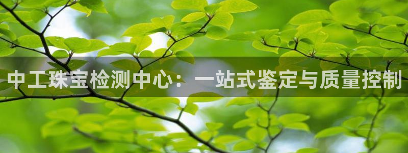 新宝5新宝6顺达：中工珠宝检测中心：一站式鉴定与质量控制