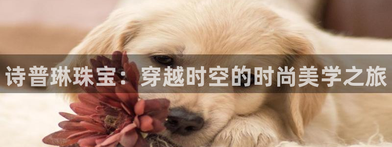 新宝5登录界面：诗普琳珠宝：穿越时空的时尚美学之旅