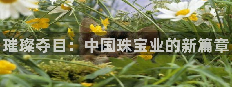 新宝5登录地址：璀璨夺目：中国珠宝业的新篇章