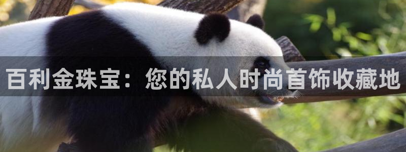 新宝5黑彩：百利金珠宝：您的私人时尚首饰收藏地