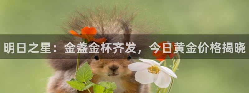 新宝注5册：明日之星：金盏金杯齐发，今日黄金价格揭晓
