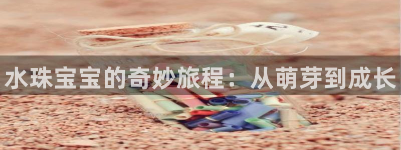 新宝5娱乐家：水珠宝宝的奇妙旅程：从萌芽到成长