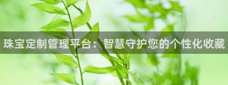 新宝5网址：珠宝定制管理平台：智慧守护您的个性化收藏