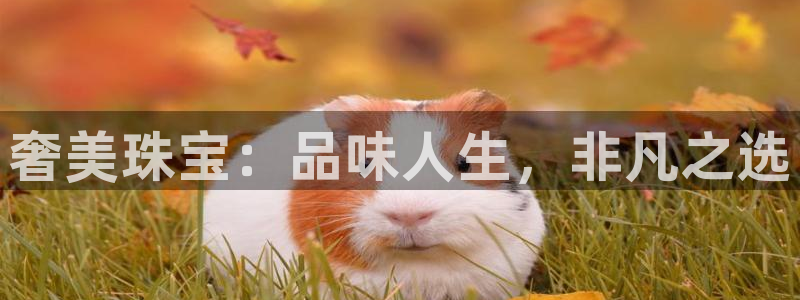 新宝5官方：奢美珠宝：品味人生，非凡之选