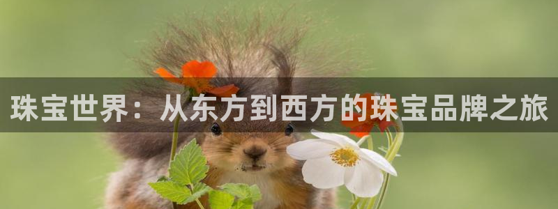 新宝5郑74OOO5：珠宝世界：从东方到西方的珠宝品牌之旅