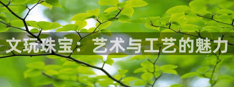 新宝5月：文玩珠宝：艺术与工艺的魅力